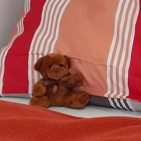 Donaublick リンツ