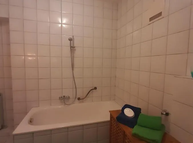 Donaublick Apartment Linz