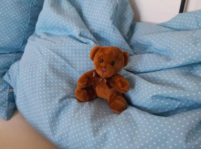 Donaublick Apartment