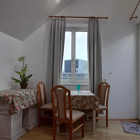 Donaublick Appartement Linz